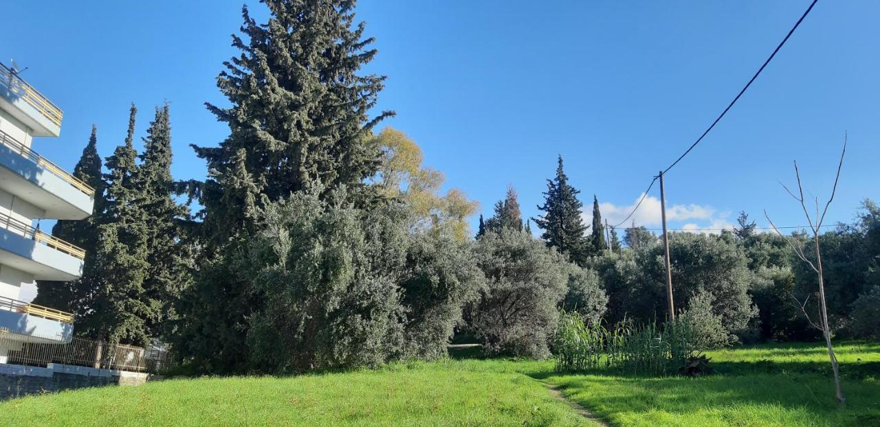 Όμορφο Studio Στην Πόλη Πάτρα Bagian luar foto